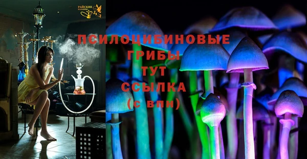шишки Армянск